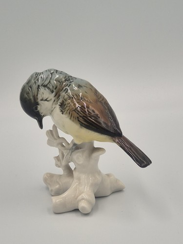 Karl ens mésange à - ens, ,