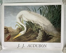 AFFICHE – REPRODUCTION AUDUBON – WHITE HERON – ÉDITIONS DU DÉSASTRE