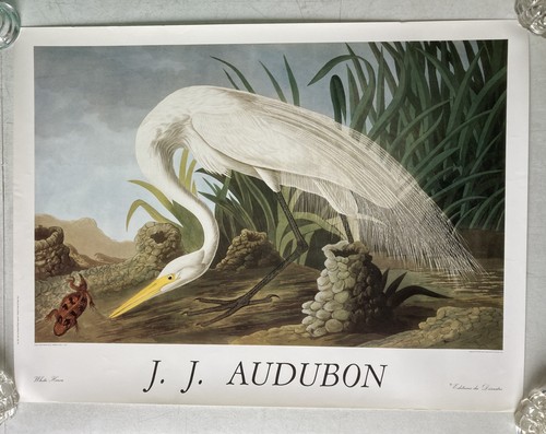 Affiche reproduction - –,