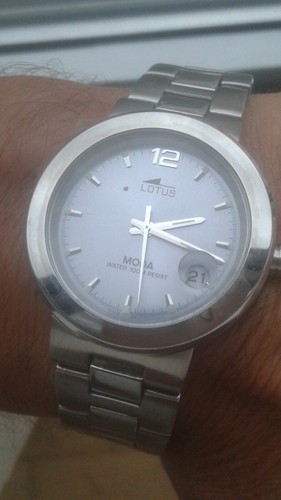 Lotus moda 15120 steel - lotus,