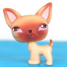 Authentic Littlest Pet Shop
