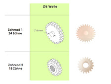 pignonConvient pour ceinture