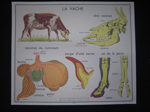 Y003 affiche scolaire - affiche,