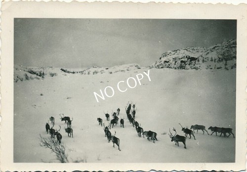 Photo wehrmacht - photo, ii