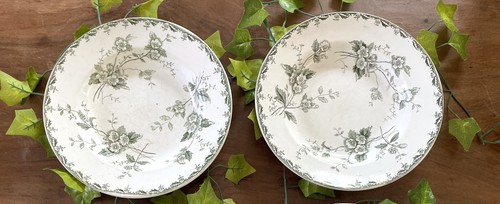 Deux assiettes creuses saint - deux,