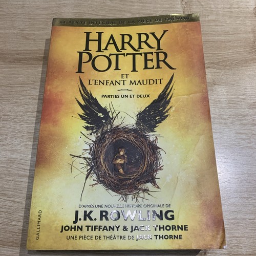 Livre harry potter enfant - potter, l'enfant