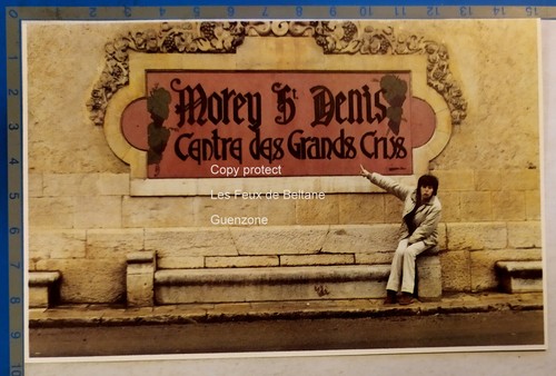 Morey denis centre des - morey, st