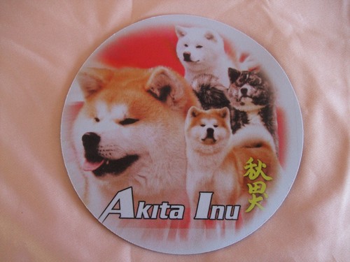Tapis souris akita inu - akita,