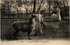CPA AK PARIS 5e Au Jardin des Plantes Lama guanaco (676571)