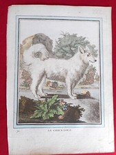222 GRAVURE XVIIIe Histoire