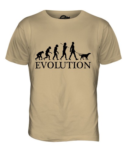 Gordon setter evolution - setter,
