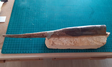 Grande Belemnite 40cm OTTANGE