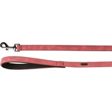 Laisse de 1 Mètre X 20 mm DELU, rouge, pour Chien.