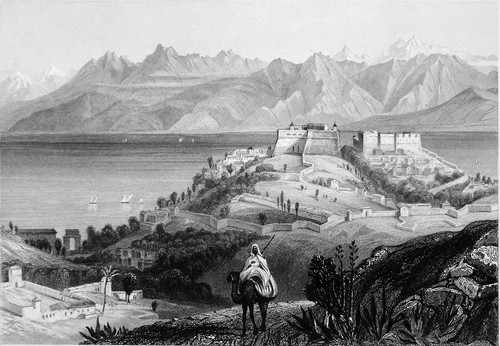 Algérie cavalier arabe - algÉrie,