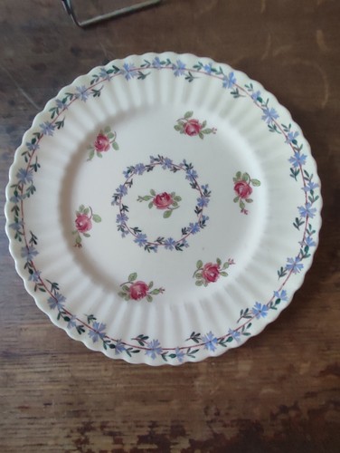 Assiette plate aux - , terre