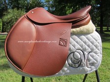 Luc childeric fsp - luc,