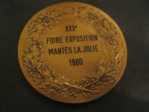 Medaille jeton sncf bronze - sncf,