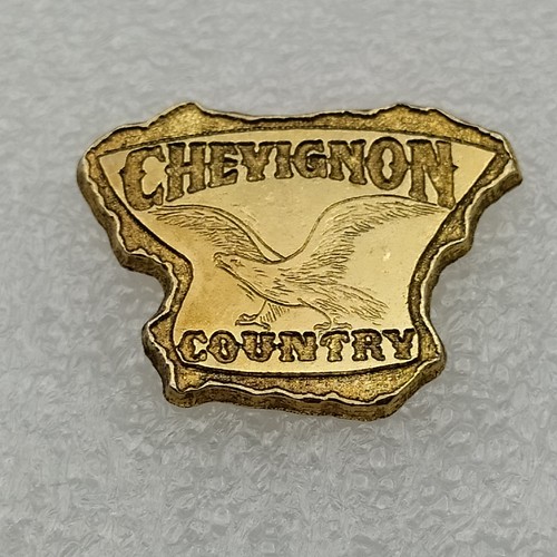 Pin's-CHEVIGNON-Doré-Mode-Vet