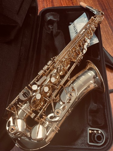 Brand new eastman alto - brand,