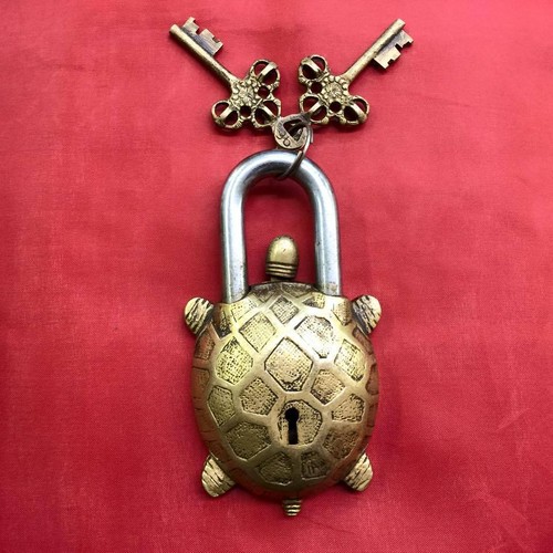 Lucky thai turtle - lucky,