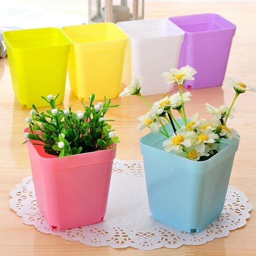 Petits pots de fleurs - petits,