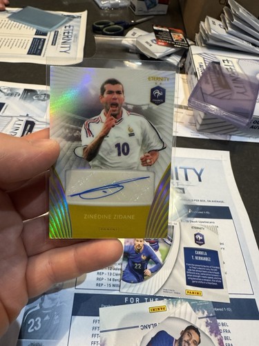 Panini eternity bleus - panini,