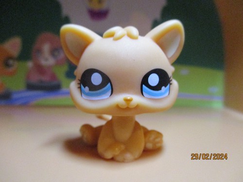 Petshop chaton 1371 - petshop,
