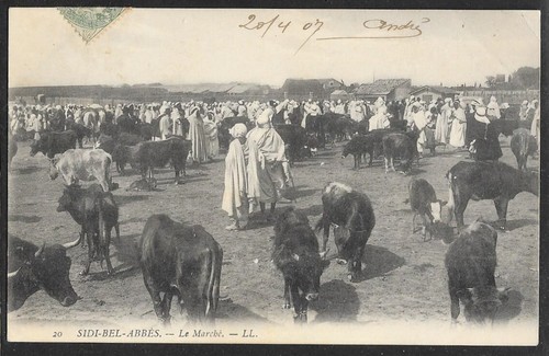 Algerie sidi bel abbes le - sidi-bel-abbes,