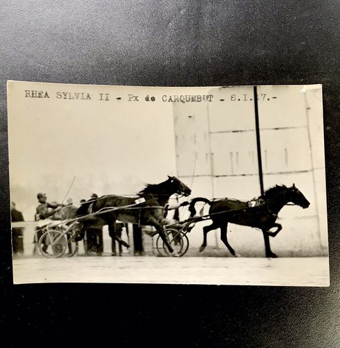 Photo presse cheval trotteur - photo,