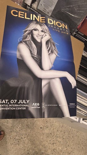 Celine dion poster 60 - 60, cm