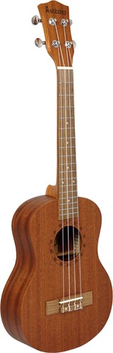 Ashbury 75ts ukulélé - au-75ts,