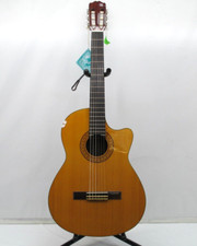 Takamine EG124C G Series