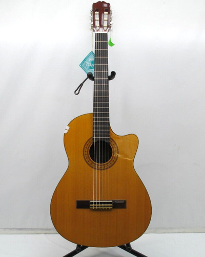 Takamine eg124c series - g,