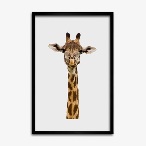Tulup photo 40x60cm mdf cadre - mdf,