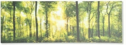 Tableau cadre toile - , arbre