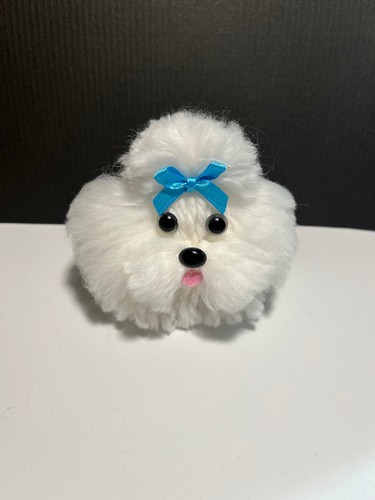 Petit chien pompon - , caniche