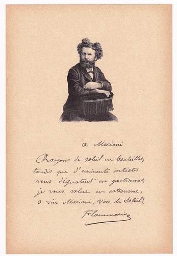 Portrait camille flammarion - portrait,
