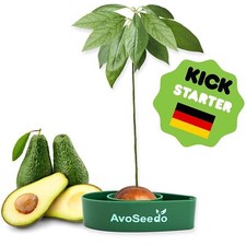 Faire Pousser Votre Avocatier - Kit Jardinage et Idee Cadeau Femme Original |...