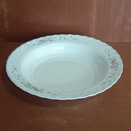 Grand plat creux arcopal - grand,