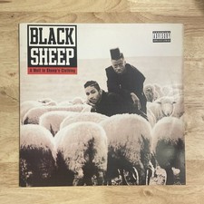 Mouton noir un loup en