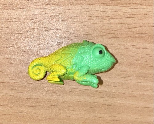 Animal compagnie monster - animal,