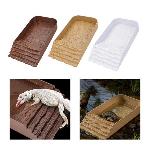 Bassin pour reptiles - pour,
