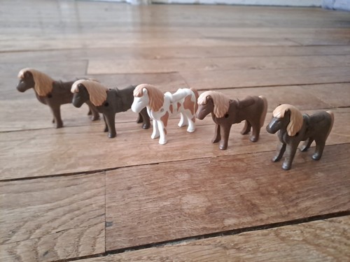 Playmobil poneys poulain - playmobil, x5