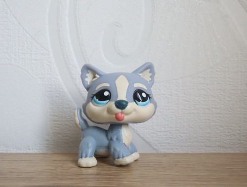 Littlest petshop husky 1684 - littlest,