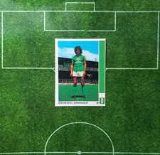 Non Panini FOOTBALL 78 Leon