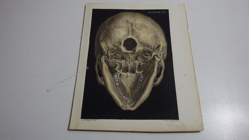 1850 lithographie couleur - 1850.lithographie,
