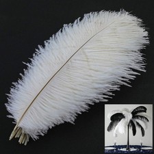 10pcs Naturelles Plumes