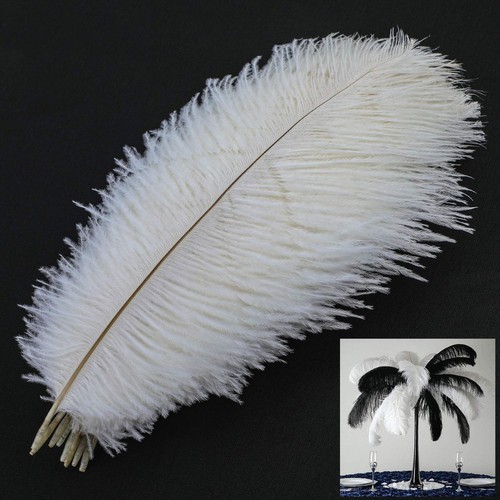 10pcs naturelles plumes - 10pcs,