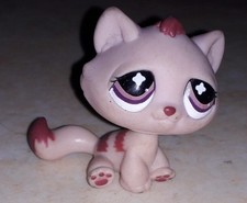 Petshop chat gouttiere