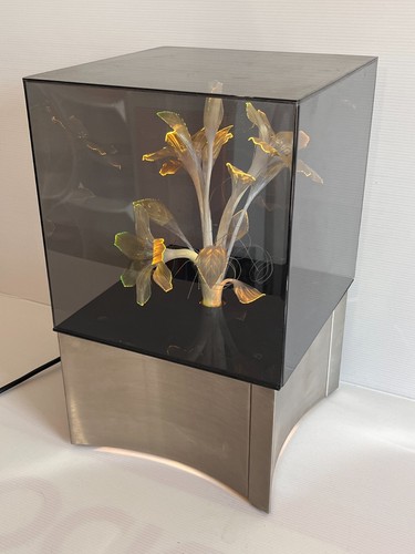 Rare lampe fibre optique - rare,